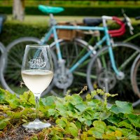 CYCLING IN THE VINEYARD